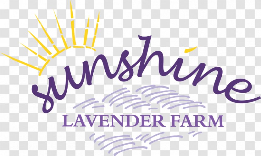 Logo Graphic Design Designer - Purple - Lavender Transparent PNG