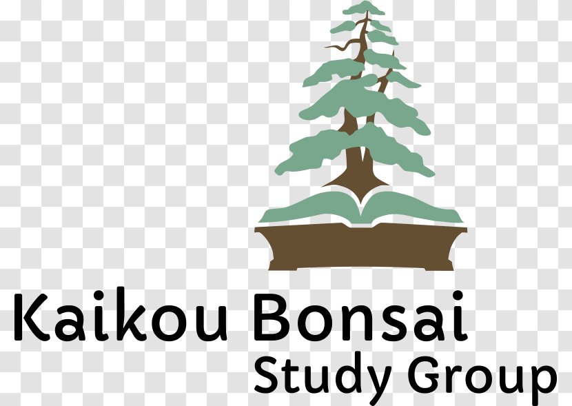 Christmas Tree New England Bonsai Gardens Spruce - Kerala Transparent PNG