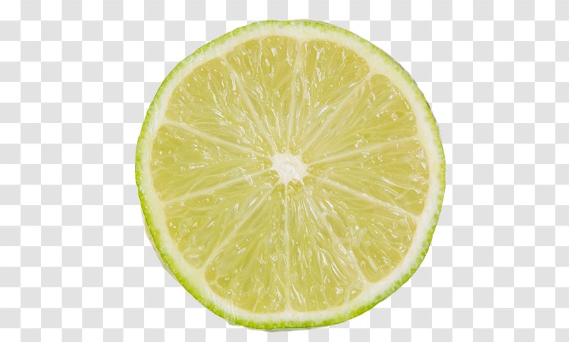 Key Lime Sweet Lemon Persian - Fruit Transparent PNG