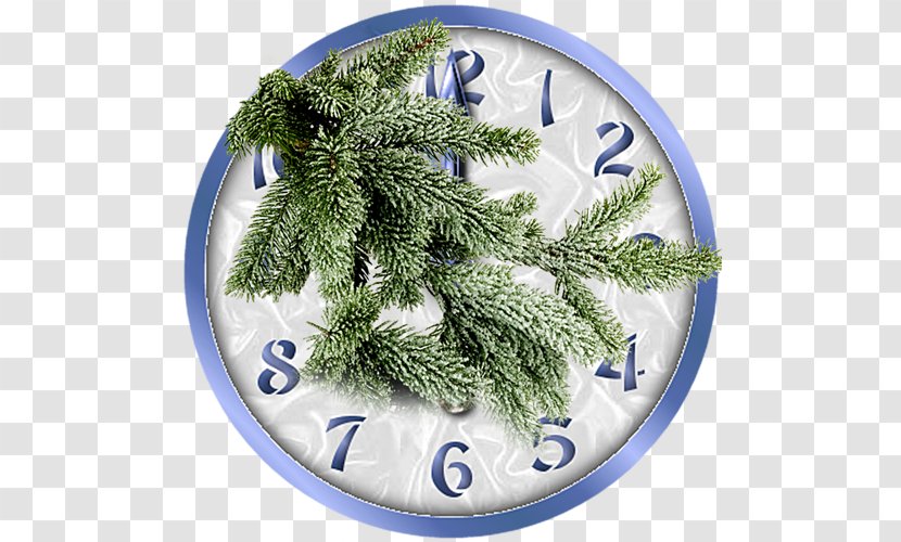 Fir Branch Tree Spruce Pine - Needle Transparent PNG