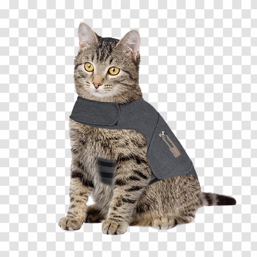 Cat Dog Veterinarian Pet Jacket - Carnivoran Transparent PNG