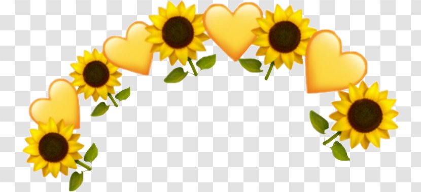 Heart Emoji Background - Floral Design - Floristry Daisy Family Transparent PNG