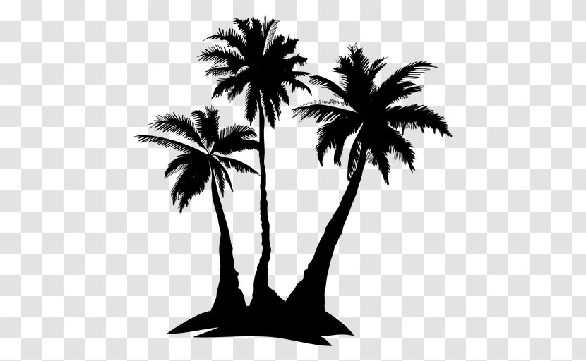 Arecaceae Silhouette Tree Drawing - Monochrome Photography - Complex Vector Transparent PNG