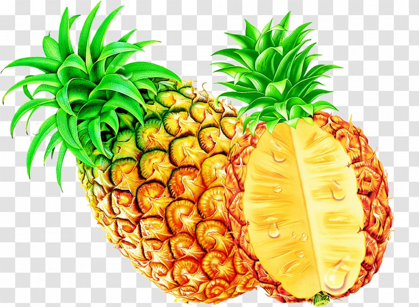 Pineapple Tropical Fruit Ananas Comosus Food - Vegan Nutrition - Bromelia Infographic Transparent PNG