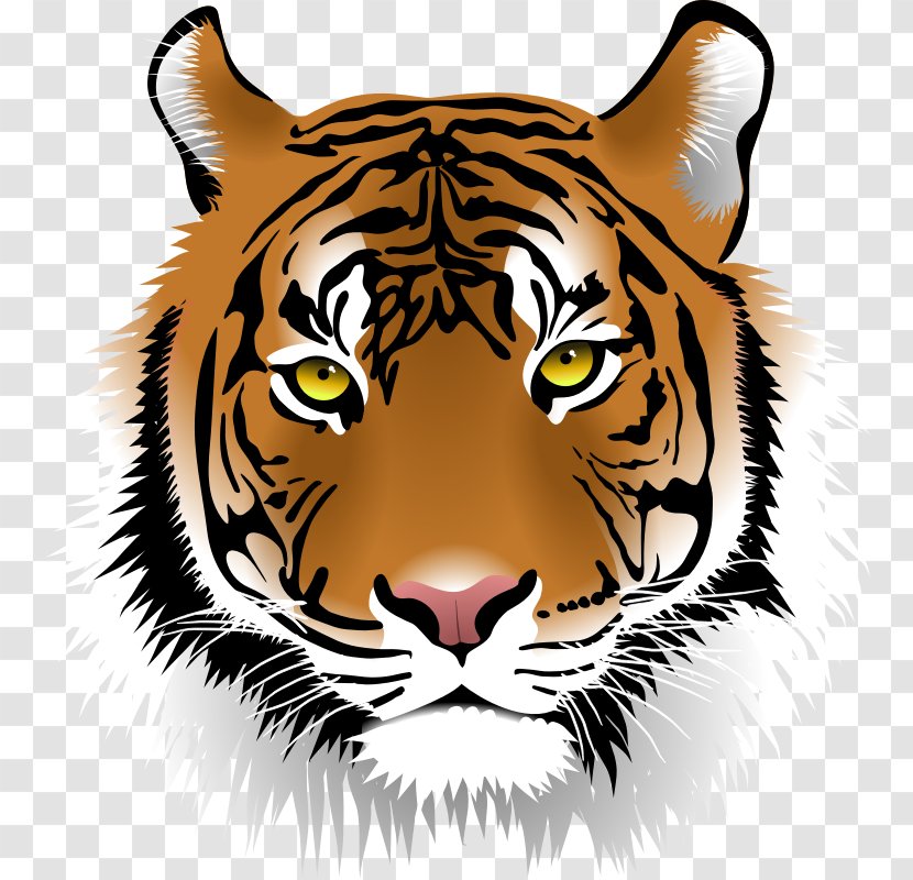 Free Content Bengal Tiger Sumatran Clip Art - Puma - Habitat Cliparts Transparent PNG