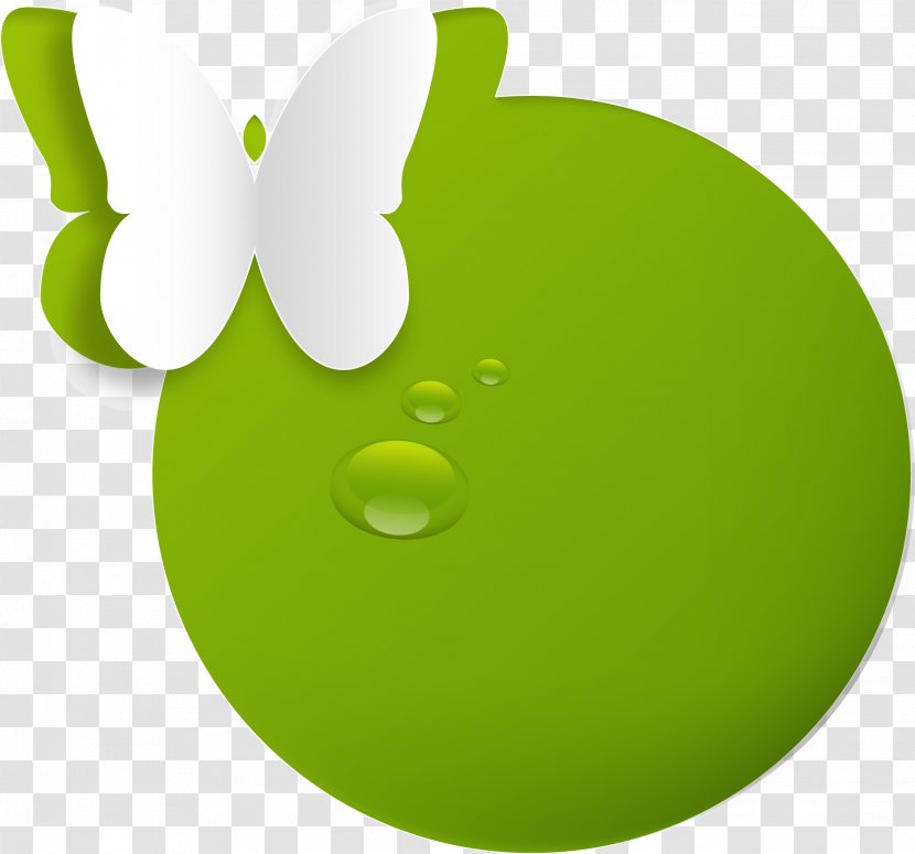 Green Circle - Moths And Butterflies - Hand Painted Transparent PNG