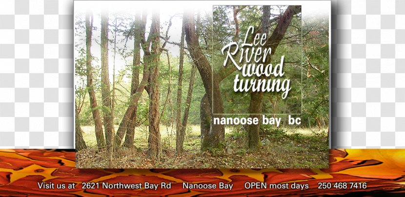 Woodturning Tree River - Large Intestine - Wood Marijuana Grow Box Transparent PNG