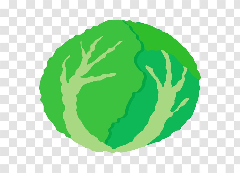 Leaf Vegetable Circle Tree Fruit Transparent PNG