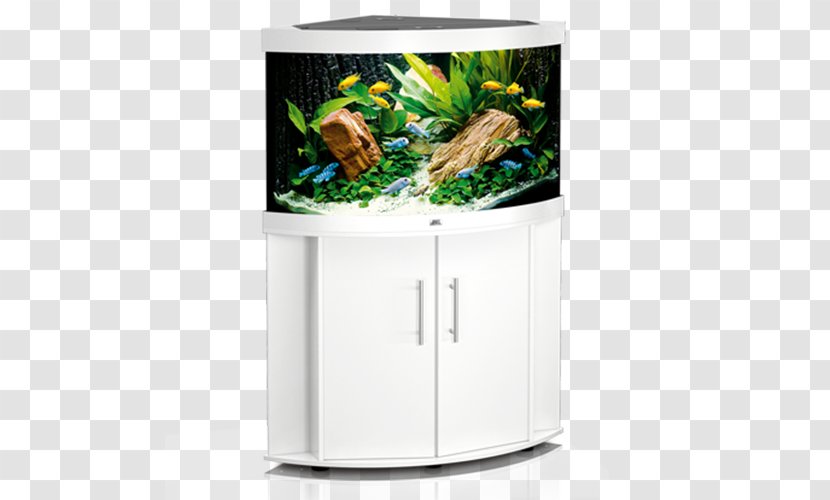 Aquarium Eheim White Fishkeeping Hellweg - Trigon Transparent PNG