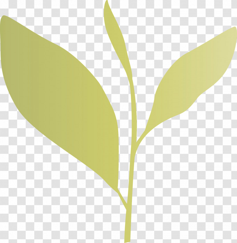 Leaf Plant Flower Tree Plant Stem Transparent PNG