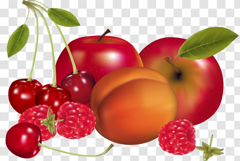 Juice Fruit Drawing Apricot - Pear - Pomegranate Transparent PNG