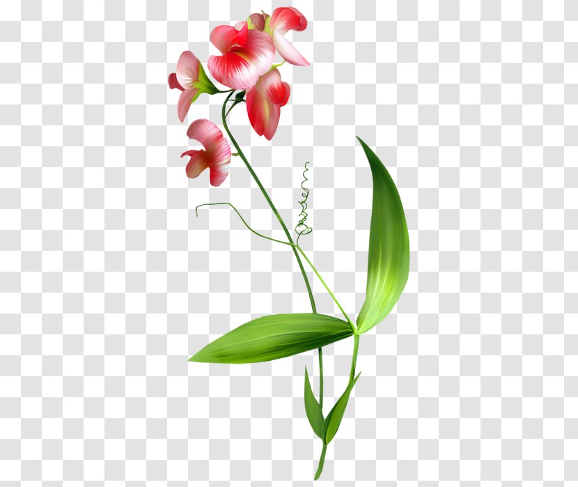 Flower Blume Clip Art - Plant Stem Transparent PNG