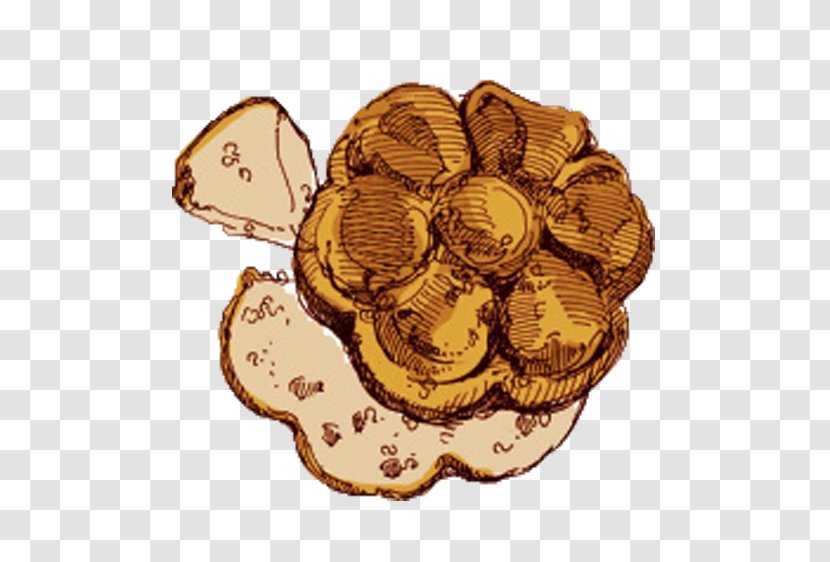 Cookie Biscuit Illustration - Delicious Cookies Transparent PNG