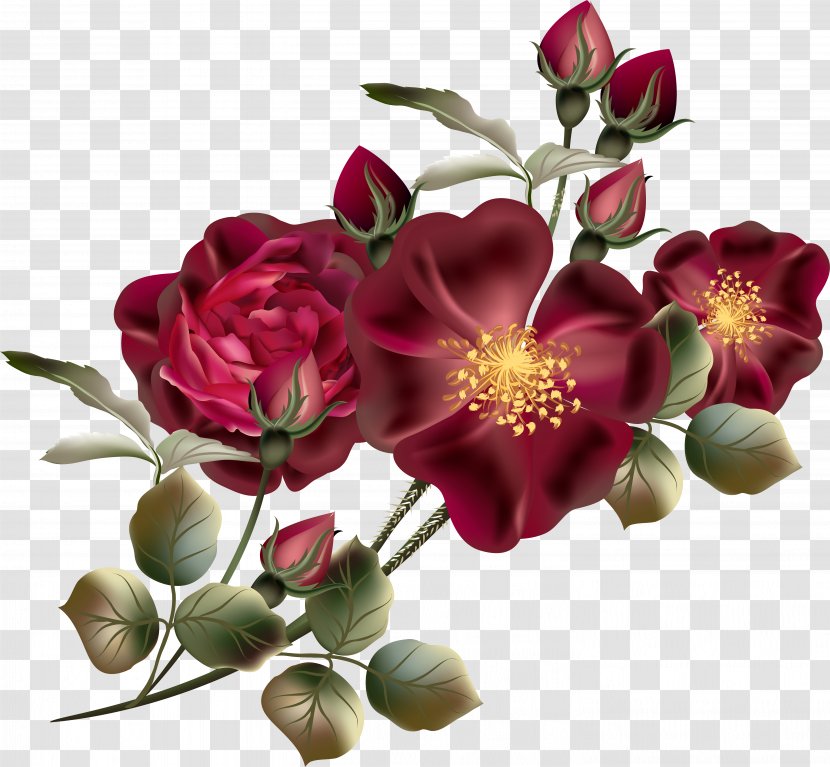 Flower Floral Design Rose Clip Art - Floristry Transparent PNG
