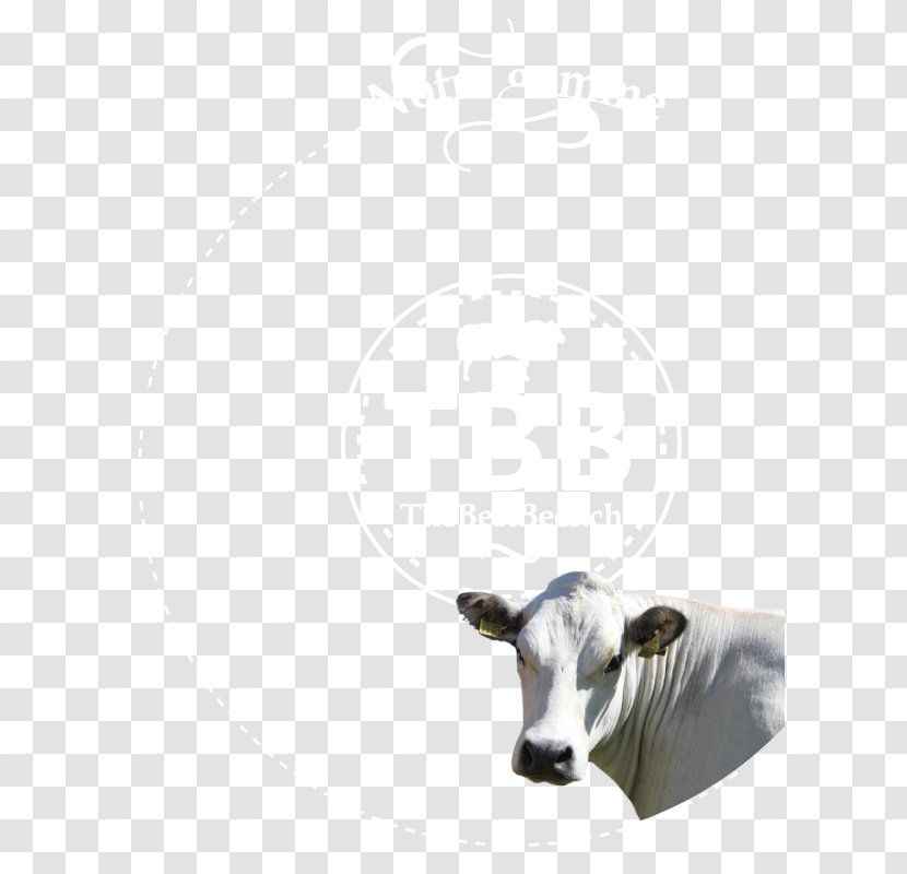Dairy Cattle Snout - Steak HACHEE Transparent PNG