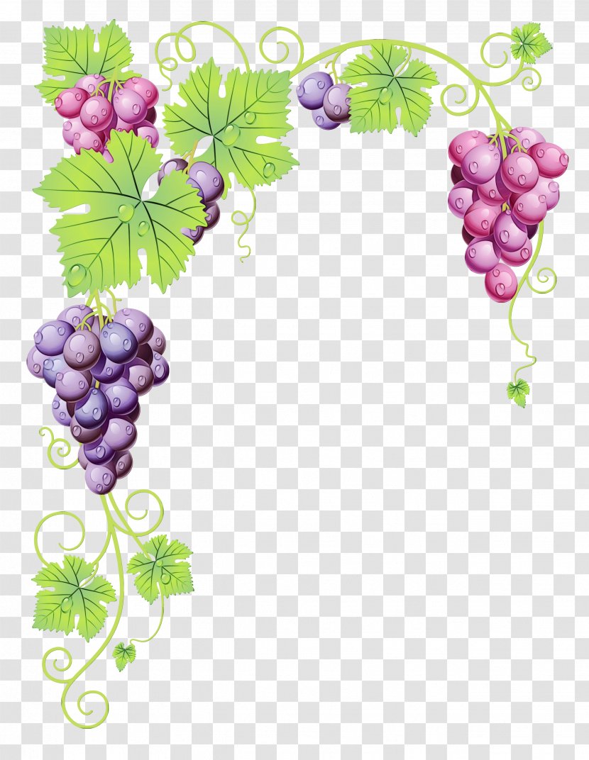 Drawing Of Family - Plant - Flower Fruit Transparent PNG