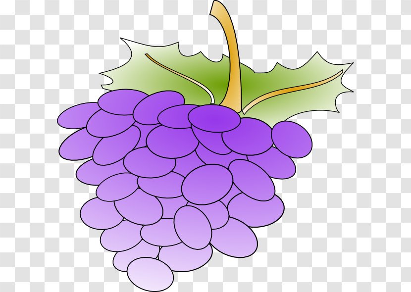 Common Grape Vine Wine Leaves Clip Art - Juice Transparent PNG