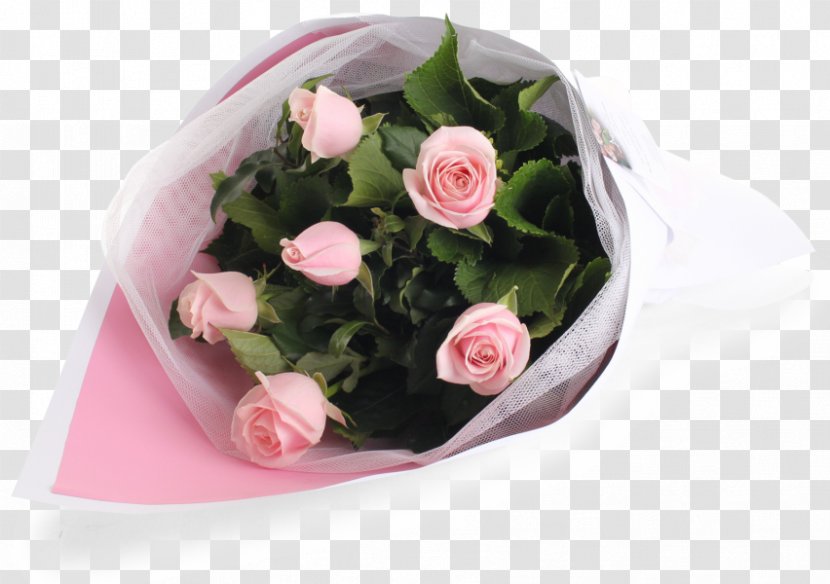 Garden Roses Flower Bouquet Pink Cut Flowers - Rose Transparent PNG