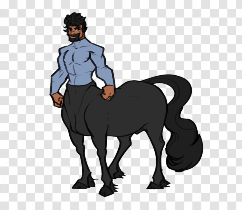Pony Mustang Hackney Horse Tracer Drawing - Male Transparent PNG