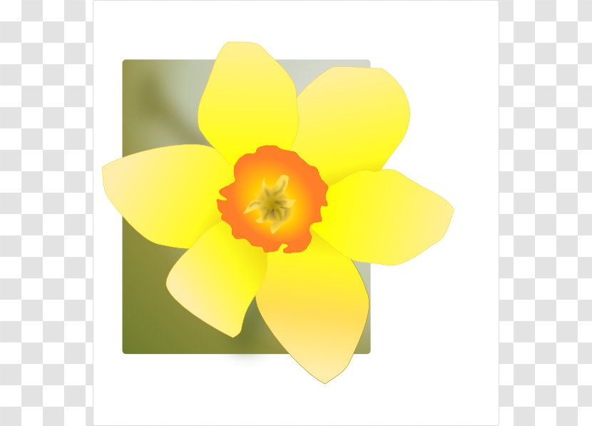 Cartoon Daffodil Royalty-free Clip Art - Yellow Transparent PNG