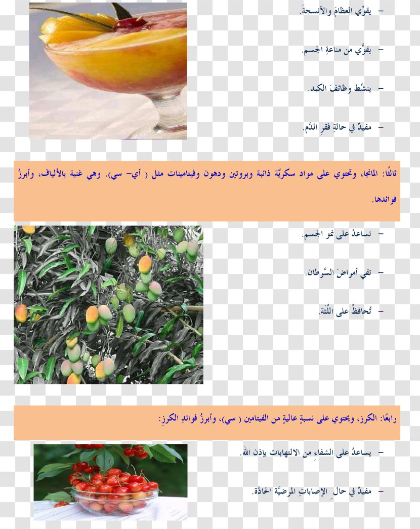 Natural Foods Superfood Local Food Font - Mango - Children Muslim Transparent PNG