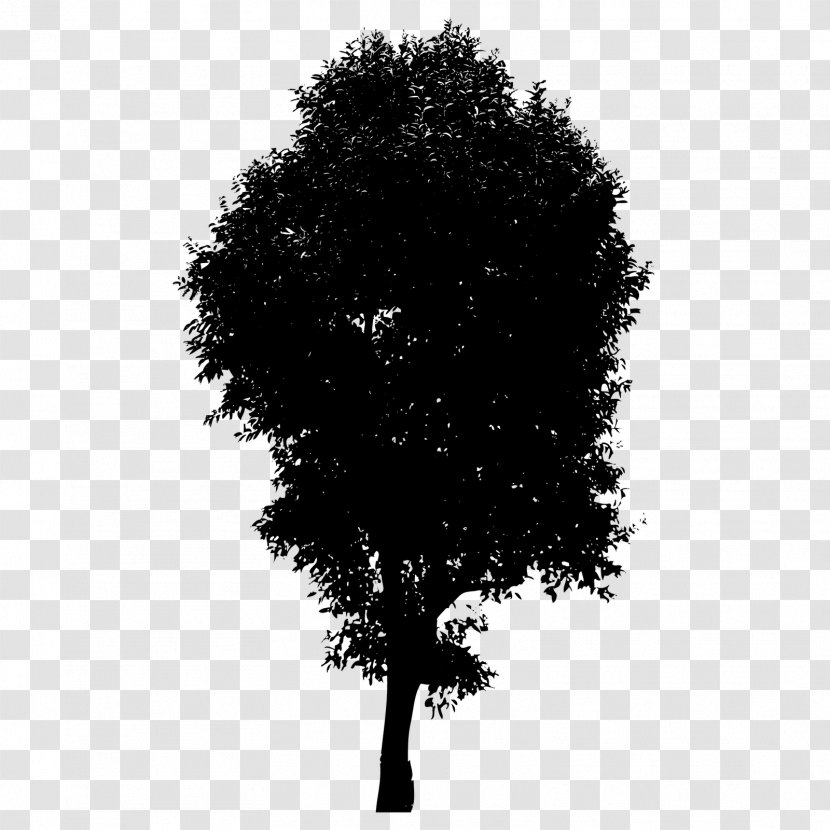 Branch Silhouette Royalty-free - Line Art Transparent PNG