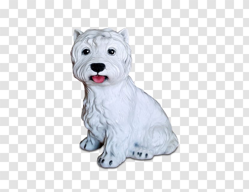 West Highland White Terrier Cairn Miniature Schnauzer Schnoodle Maltese Dog - Russell Transparent PNG