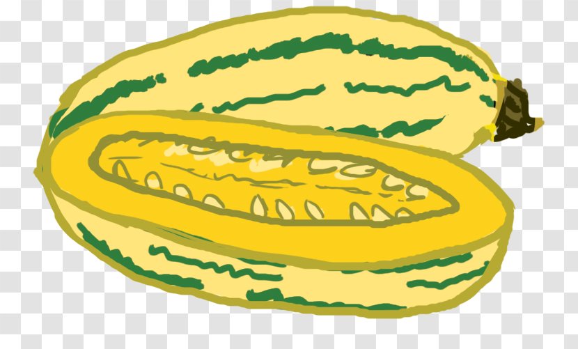 Muskmelon Watermelon Squash Commodity Clip Art - Yellow Transparent PNG
