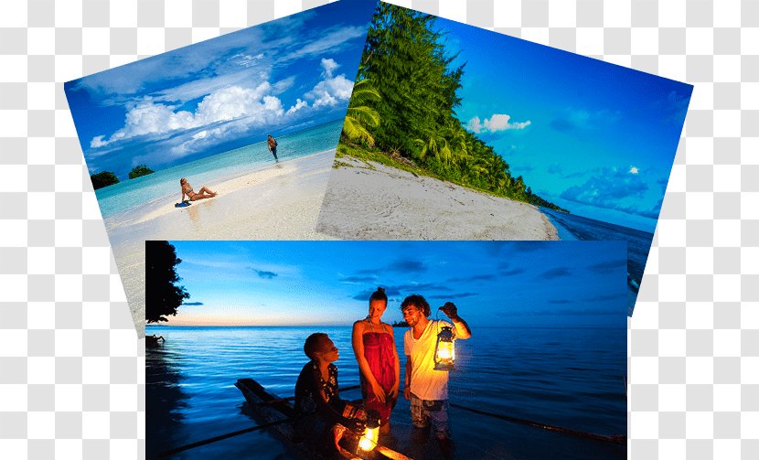 South Pacific Tourism Organisation Travel Agent Tour Guide - Destination Marketing Organization Transparent PNG