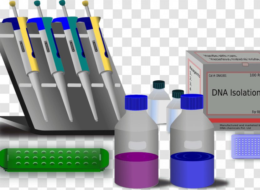 Molecular Biology Molecule Genetics Polymerase Chain Reaction - Genetic Testing Transparent PNG