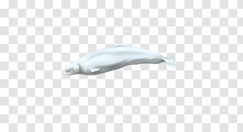 Dolphin - Marine Mammal Transparent PNG