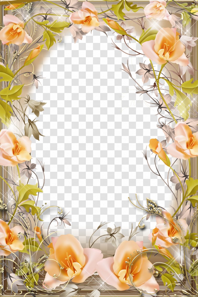Picture Frame Flower - Peach - Mood Pictures Transparent PNG