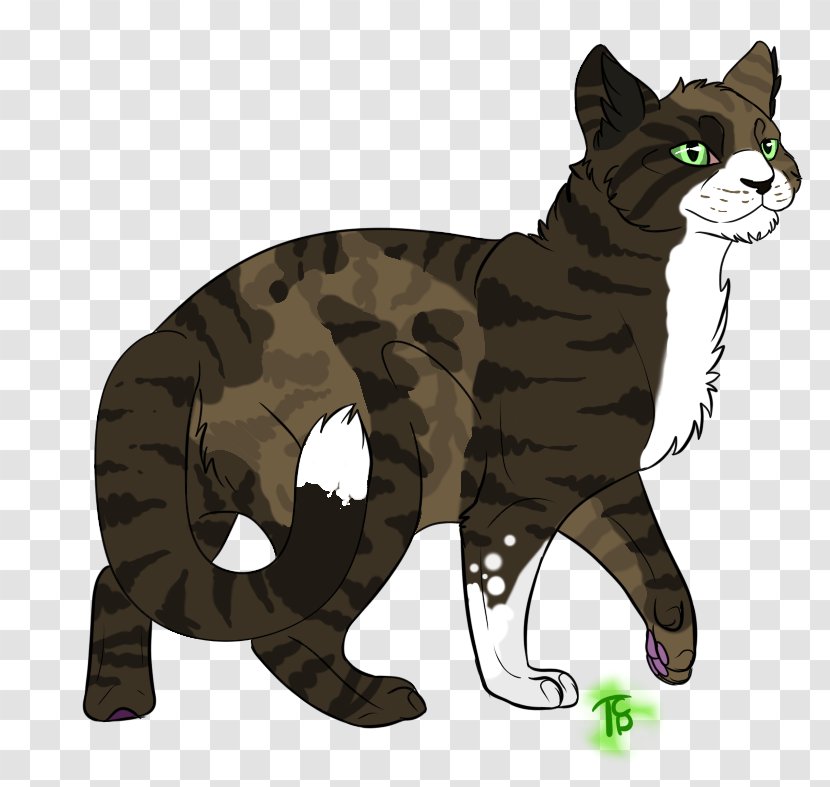 Whiskers Wildcat Dog Canidae - Tabby Cat Tuxedo Drawings Transparent PNG