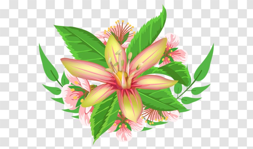 Flower Animaatio Floral Design - Gift - Element Transparent PNG
