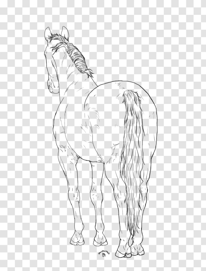 Mane Foal Bridle Mustang Colt - Horse Supplies - Lineart Transparent PNG