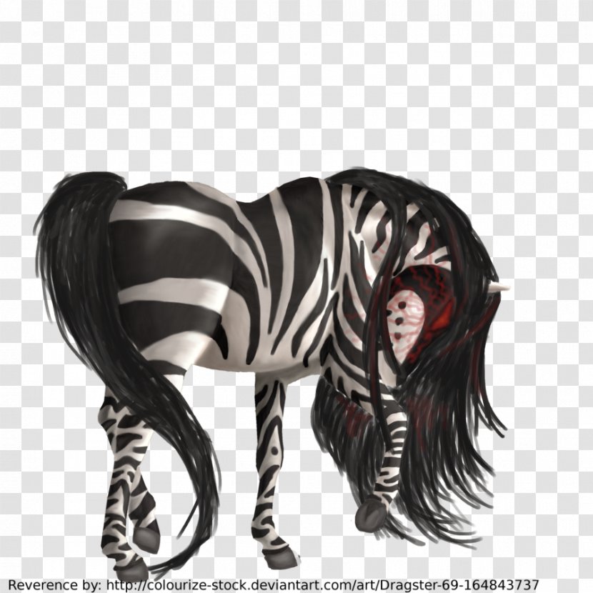 Mane Neck Zebra - Mammal - Howrse Transparent PNG