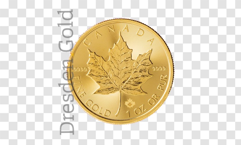 Coin Gold Tree - Money Transparent PNG