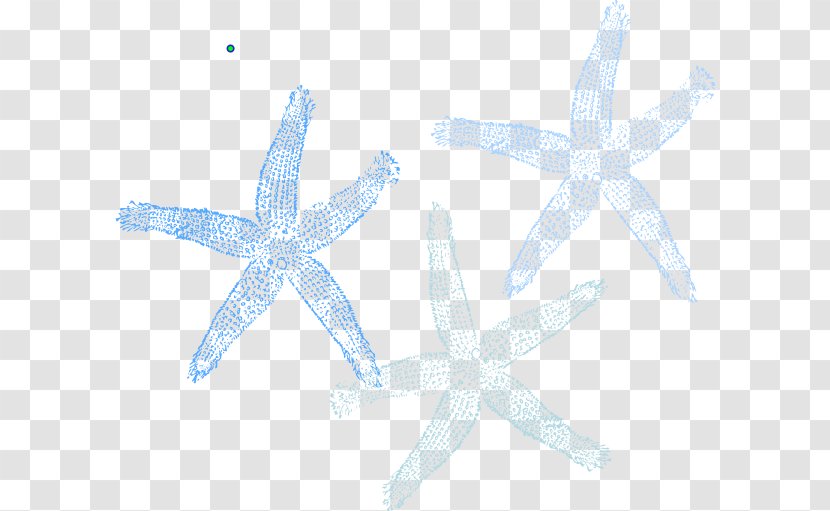 Starfish Marine Invertebrates Echinoderm Organism - Microsoft Azure - Sea Star Transparent PNG