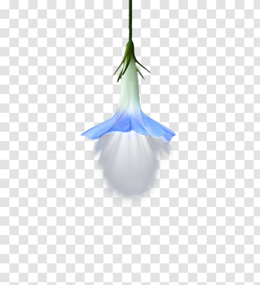Incandescent Light Bulb Lamp - Christmas Ornament - Creative Flower Bulbs,decoration Transparent PNG