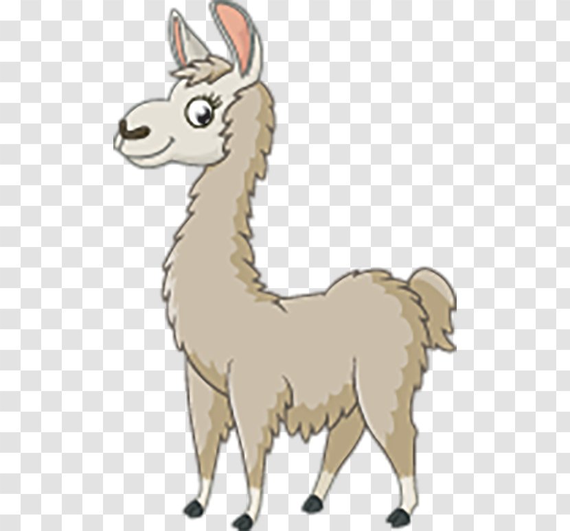 Llama Royalty-free Clip Art - Fauna - Horse Like Mammal Transparent PNG