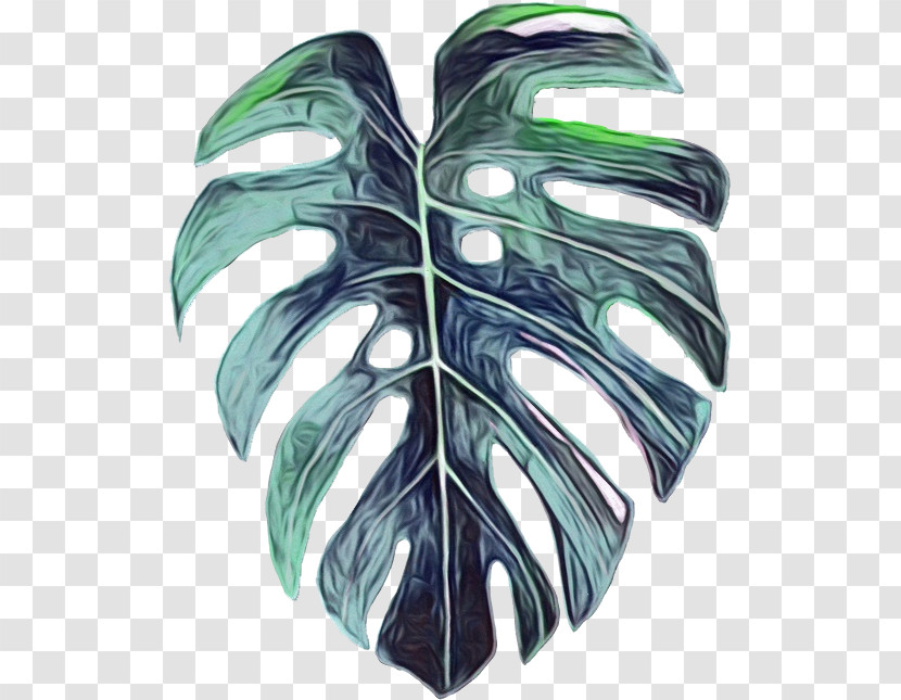 Monstera Transparent PNG