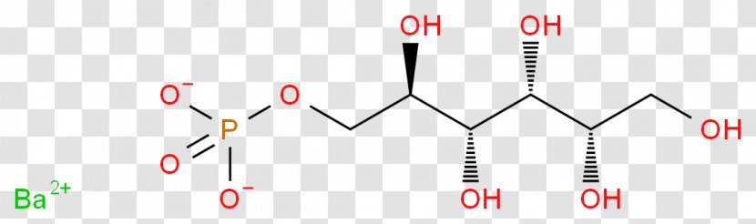 International Year Of Pulses Journal Molecular Sciences MDPI Logo - Legume - Sulfamic Acid Transparent PNG