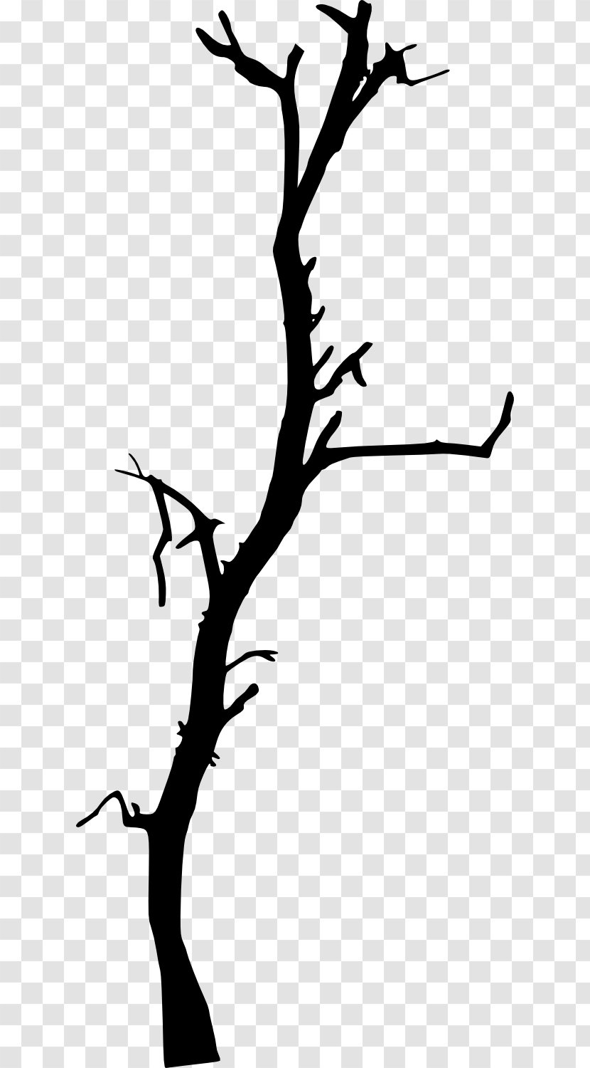 Tree Clip Art Branch Silhouette - Leaf - Dead Transparent PNG