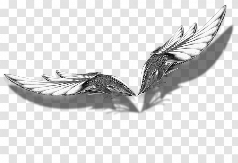 Silver - Wing - Black And White Transparent PNG