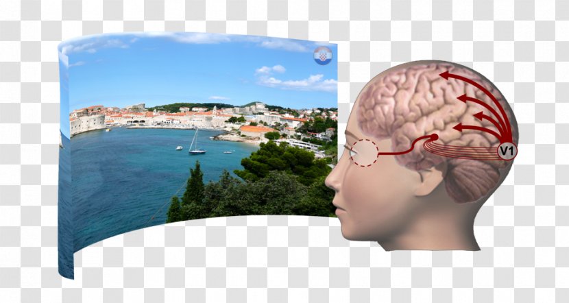 Headgear Brain Research Jaw Vacation - News - Papers Transparent PNG
