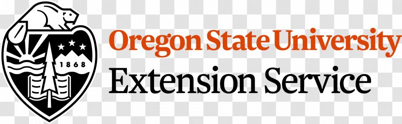 University Of Oregon State Beavers Men's Basketball College Pharmacy - Professor Transparent PNG