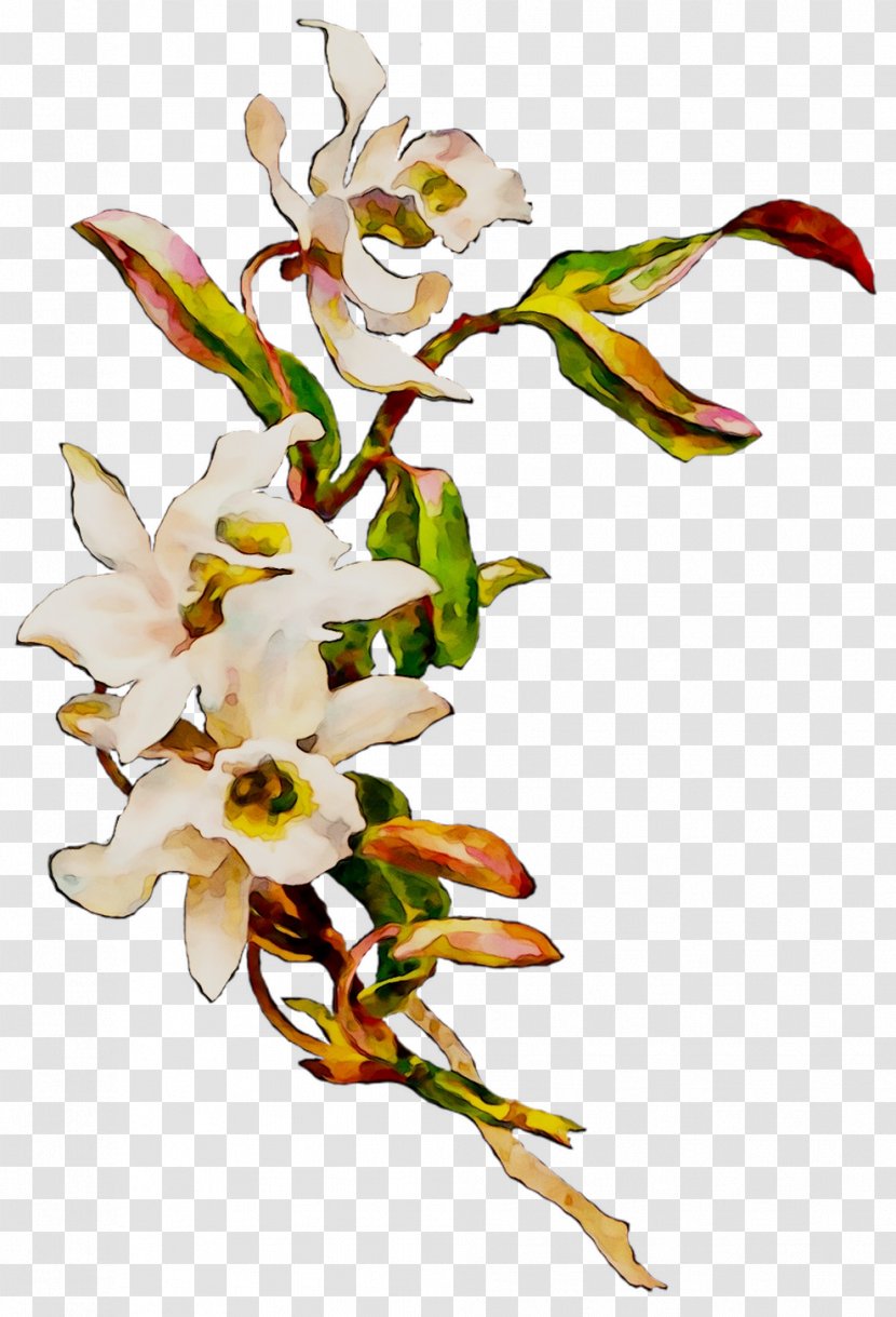 Clip Art Image Victorian Vector Designs - Orchids - Cut Flowers Transparent PNG