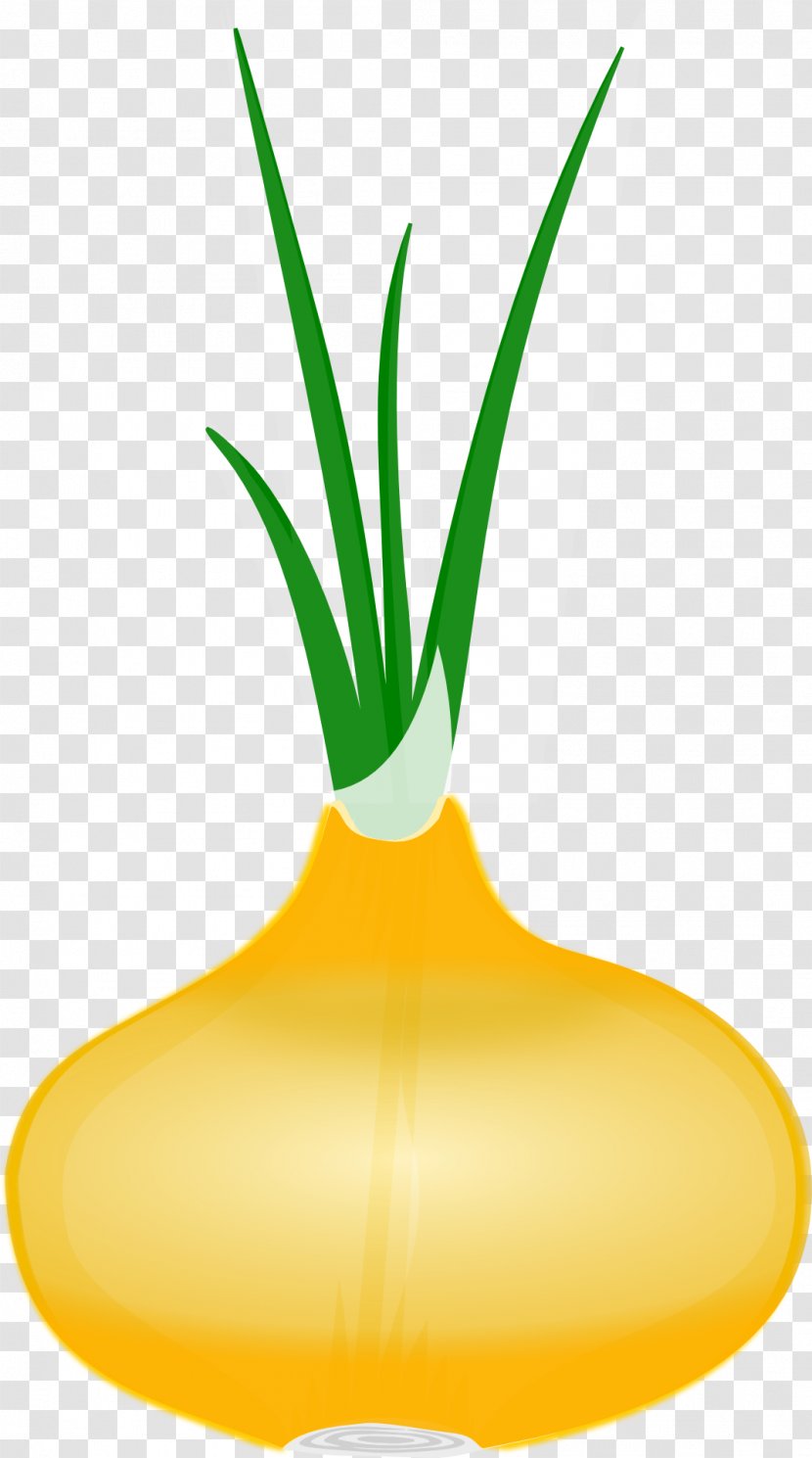 Flowerpot Plant Stem Clip Art - Leaf - Cute Green Aloe Transparent PNG
