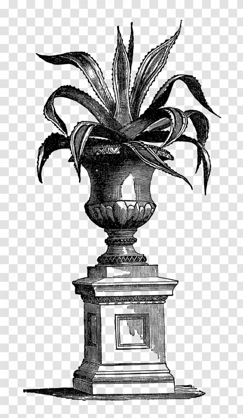 Houseplant Vase Garden - Plant - Potted Plants Transparent PNG