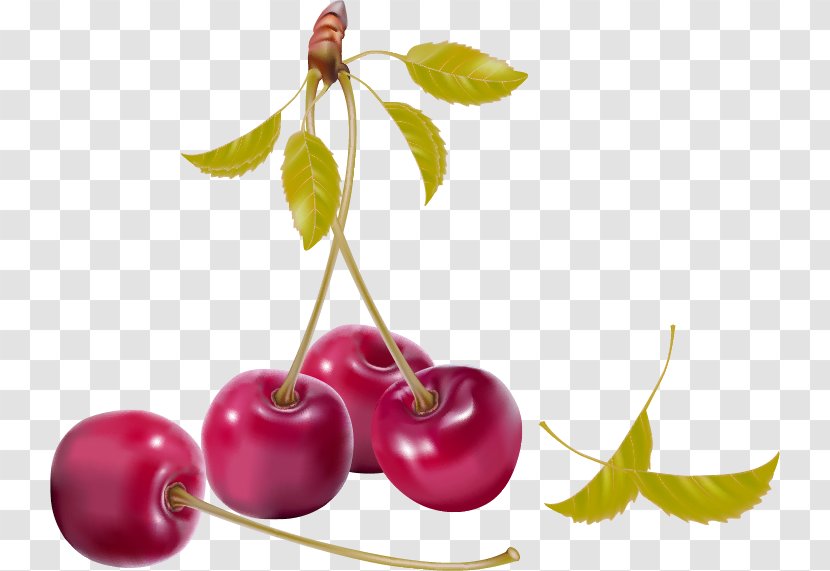 Berry Cherry Royalty-free Clip Art - Red Simple Fruit Products In Kind Transparent PNG